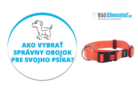 Videonávody: Ako vybrať správny obojok pre svojho psíka