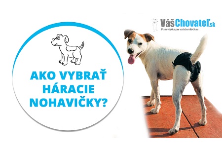 Videonávody: Ako vybrať háracie nohavičky Videonávody: Ako vybrať háracie nohavičky