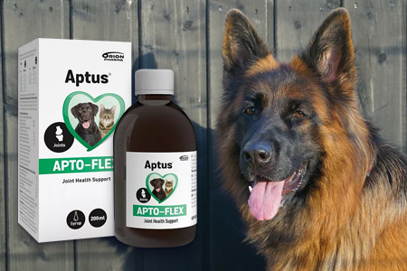 Aptus Apto-Flex sirup: účinná kĺbová výživa pre psy a mačky