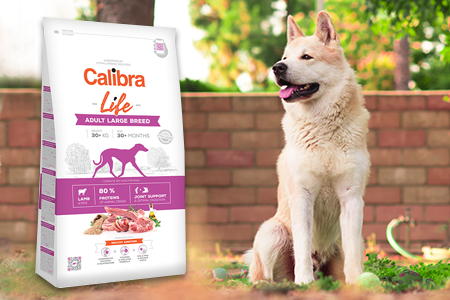 Nové hypoalergénne krmivá Calibra Life Nové hypoalergénne krmivá Calibra Life
