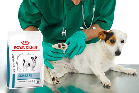 Na psie neduhy všetkého druhu: Royal Canin Veterinary