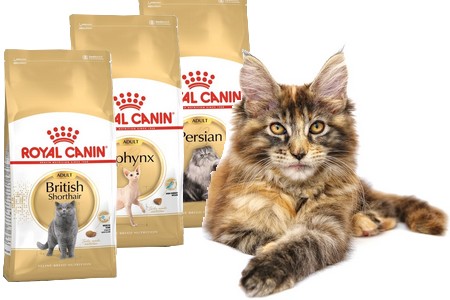 Royal Canin Breed Nutrition - výživa na mieru Royal Canin Breed Nutrition - výživa na mieru