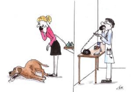 Nočná mora zvaná epilepsia Nočná mora zvaná epilepsia