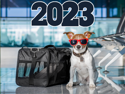 Leto 2023: aktuálne pravidlá pre cestovanie so psom do zahraničia Leto 2023: aktuálne pravidlá pre cestovanie so psom do zahraničia