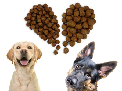 Royal Canin: rozdiely vo výžive alebo prečo kŕmiť psy krmivom zodpovedajúcemu ich veku Royal Canin: rozdiely vo výžive alebo prečo kŕmiť psy krmivom zodpovedajúcemu ich veku