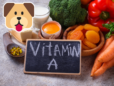 Vitamín A: nepostrádateľný pomocník pre zdravie a správny rast psov aj mačiek Vitamín A: nepostrádateľný pomocník pre zdravie a správny rast psov aj mačiek