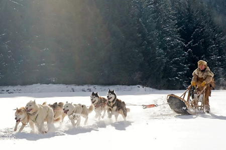 Psie športy #4: Mushing Psie športy #4: Mushing