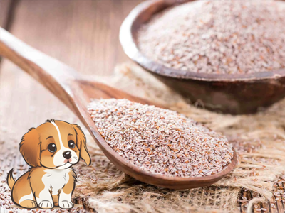 PSYLLIUM alebo ako je dôležitá rozpustná vláknina pre psov PSYLLIUM alebo ako je dôležitá rozpustná vláknina pre psov