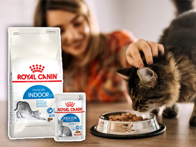 Ako správne na kombinované kŕmenie Royal Canin pre mačky? Ako správne na kombinované kŕmenie Royal Canin pre mačky?